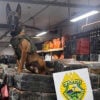 Operações com cães