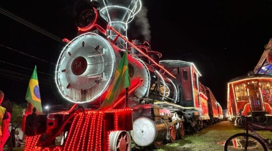 Trem iluminado (2)