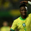 VINI 3