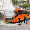 campina do siqueira. jpg