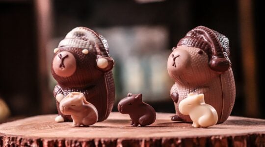 chocolates