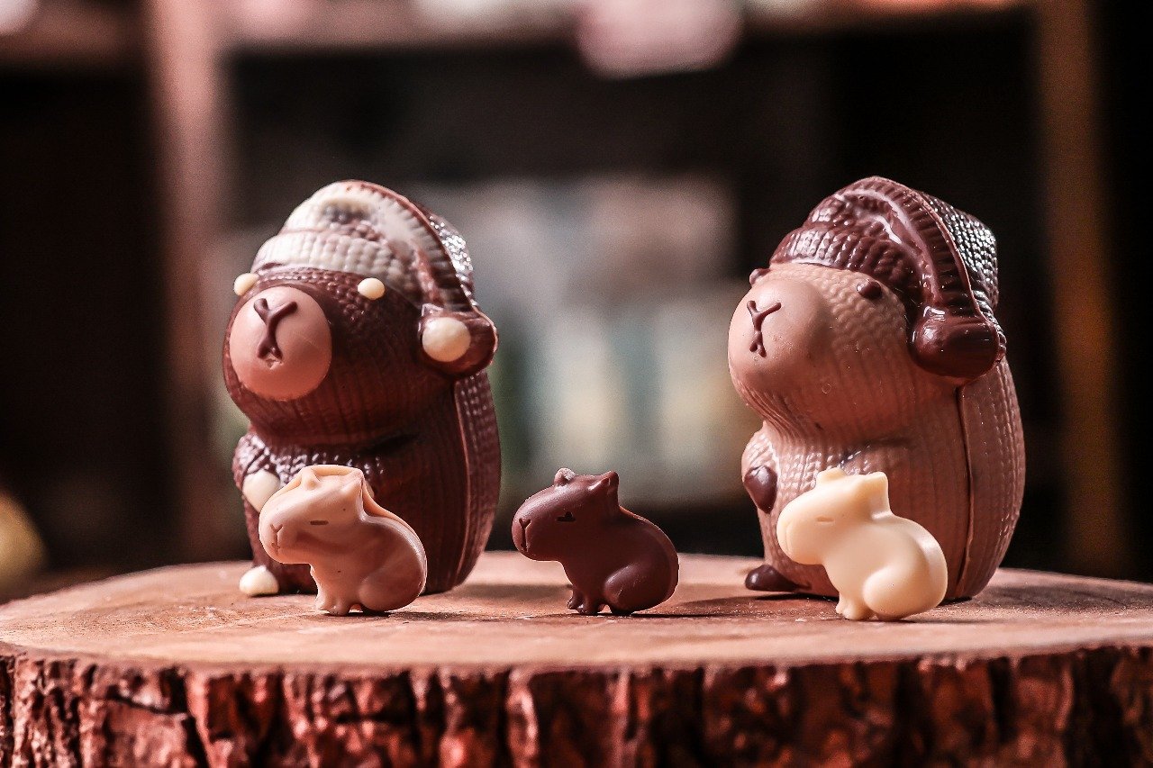 chocolates