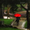 chuva e leptospirose