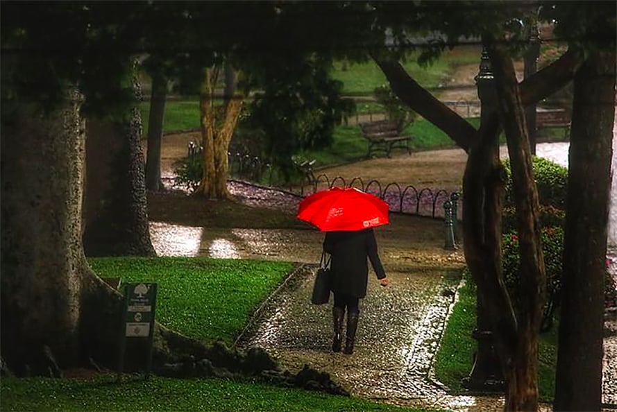 chuva e leptospirose