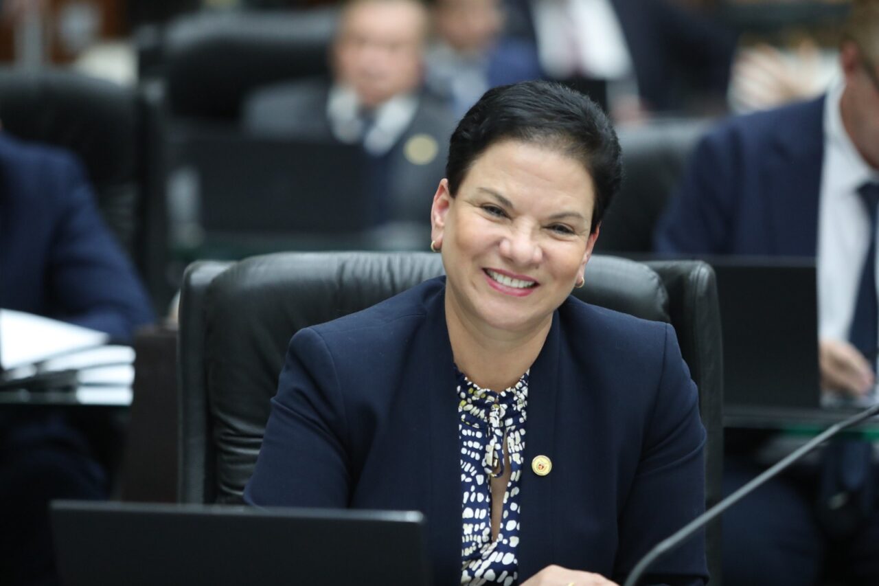 deputada marli paulino bebidas