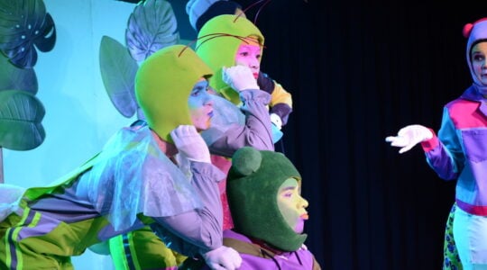 festival de teatro de pinhais