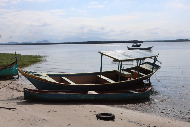ilha do maciel 2
