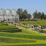 jardim_botanico_foto_rdziura-5554