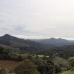 morro da palha