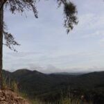 morro da palha 2