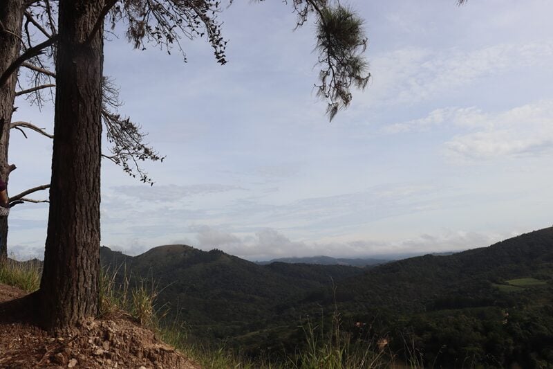 morro da palha 2