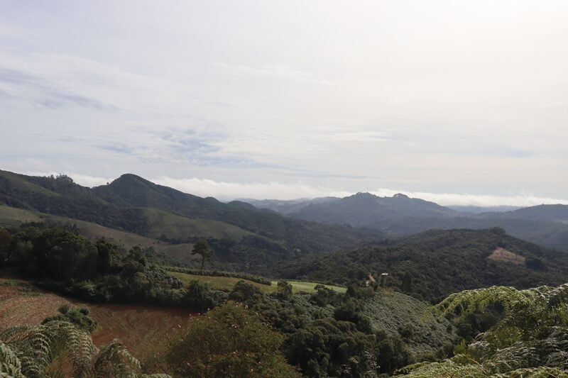 morro da palha