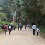 morro da palha3