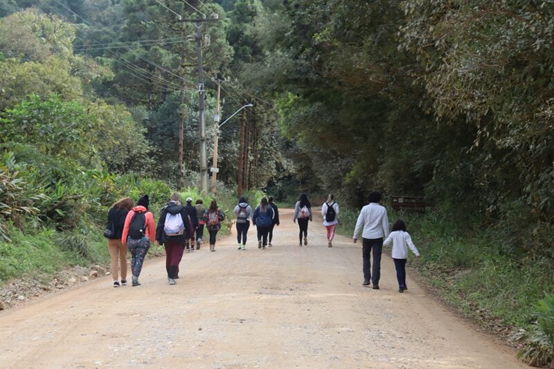 morro da palha3
