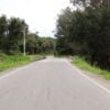ponte campo largo