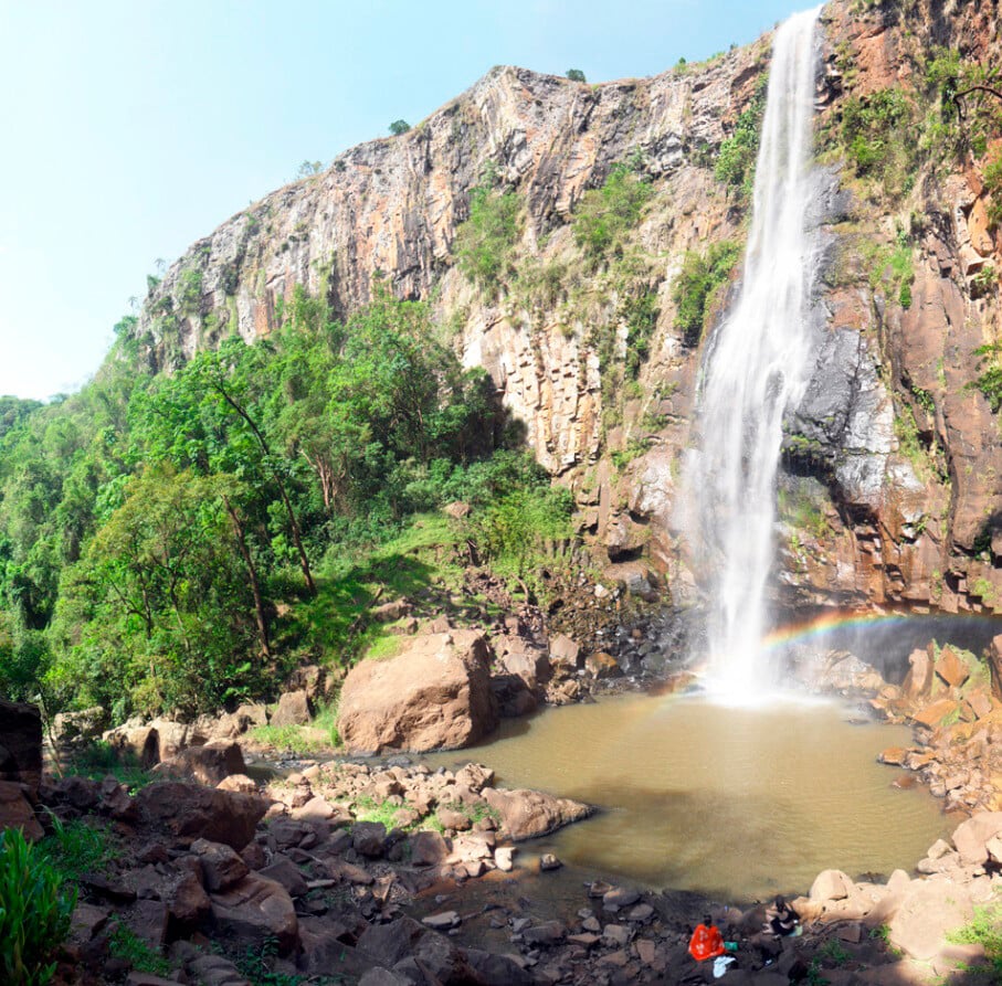 salto do tamandua