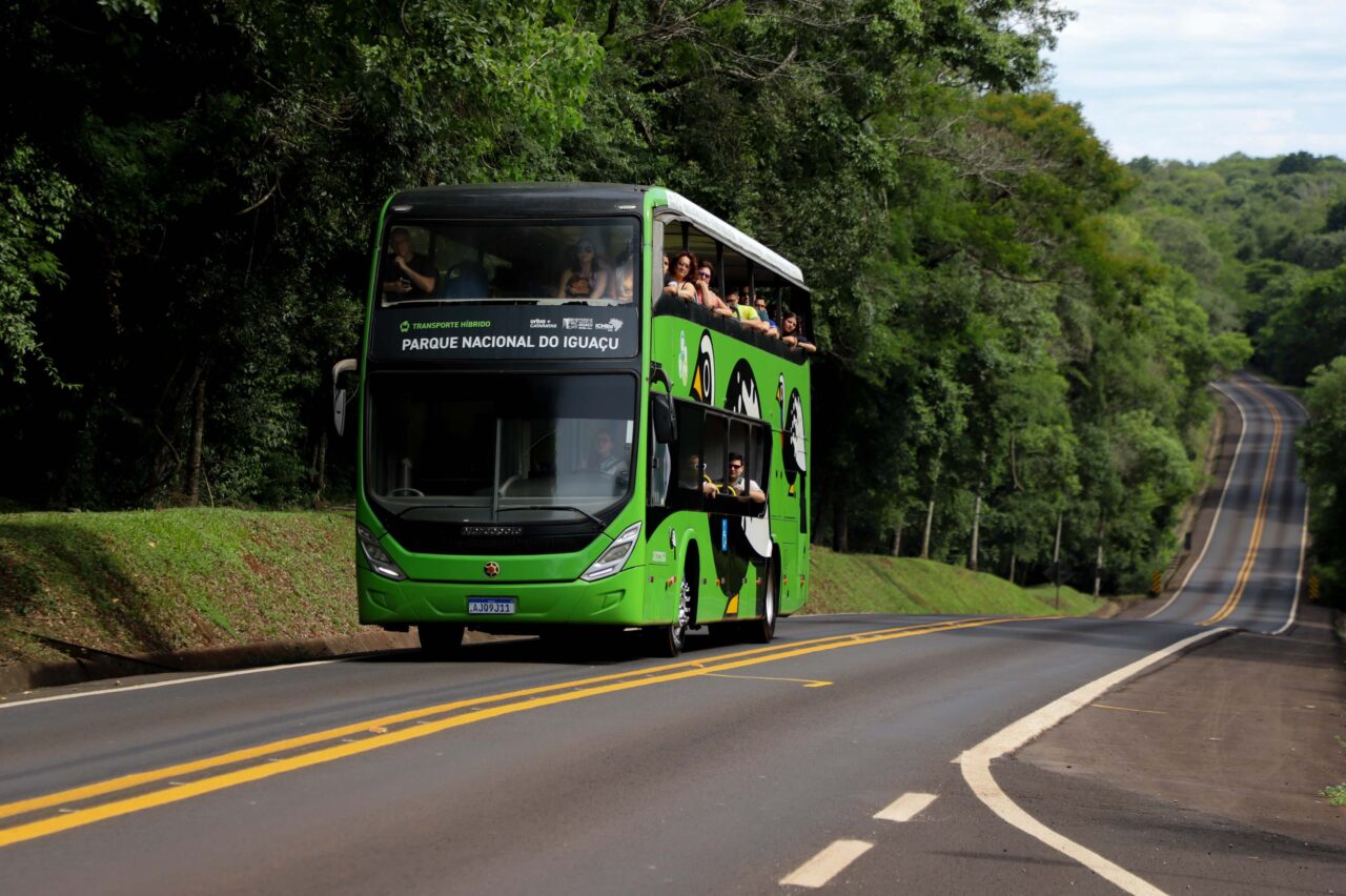 turistas estrangeiros
